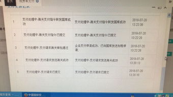 新一代稅費電子支付系統 常見問題與解決方案匯總